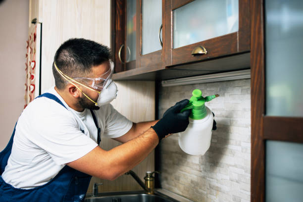 Best Insect Control  in Woodbury Heights, NJ